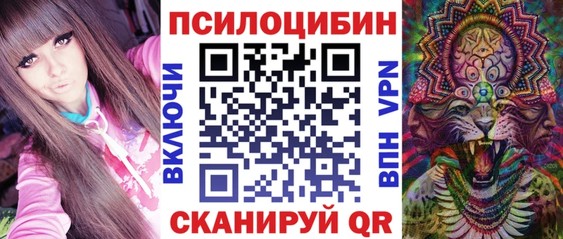 Псилоцибиновые грибы Cubensis  купить наркотики сайты  Зверево 